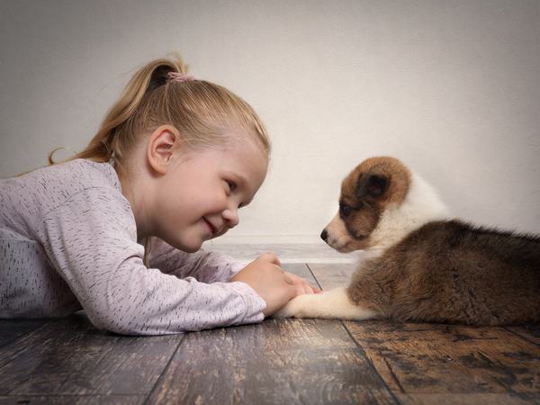 5 lucruri de care trebuie sa tii cont cand vrei sa ii iei copilului un animal de companie