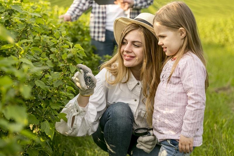 Influenta pesticidelor asupra sanatatii copilului