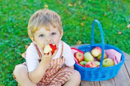 Ghidul alimentatiei pentru copilul mic (1 - 3 ani)
