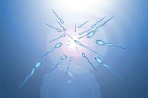 Fertilizarea in vitro, reduce sansa de sarcina multipla