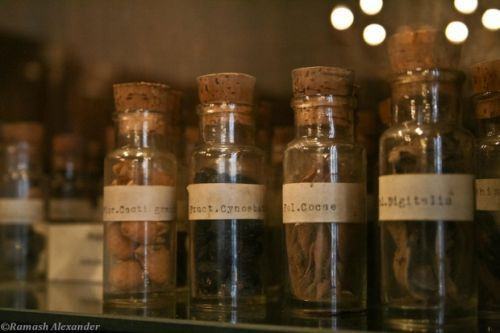 Orice preparat homeopatic are actiune asupra organismului omenesc