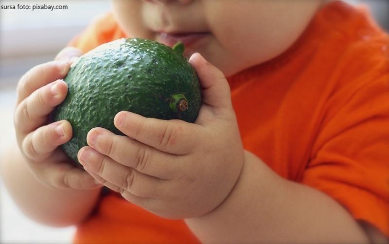 Retete cu avocado pentru bebelusi