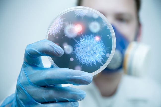 Infectiile bacteriene si virale – scurt ghid