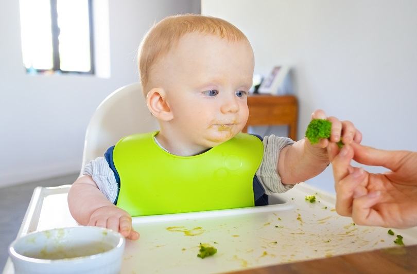 Broccoli in diversificare: cum se prepara corect pe luni si ce beneficii are