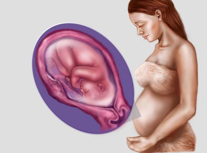 Cum se dezvolta simturile bebelusului in burtica, in timpul sarcinii