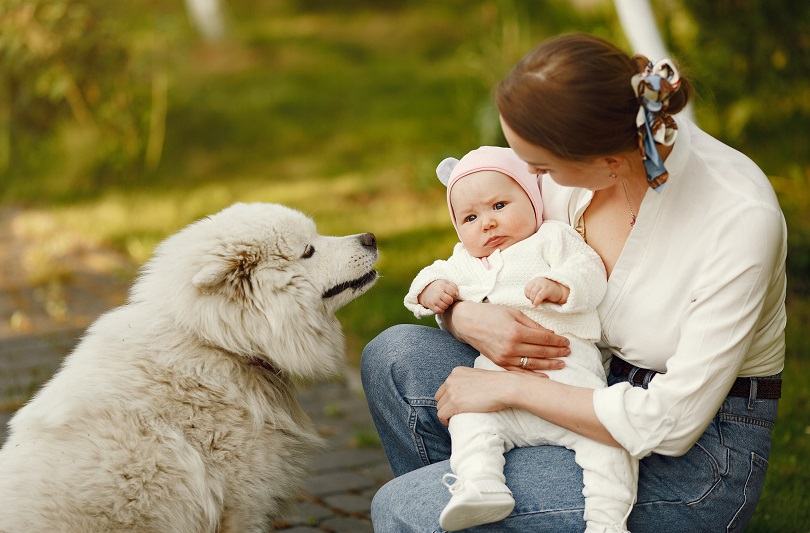 Cum pregatim cainele pentru venirea bebelusului: sfaturi utile si riscuri de care sa tii cont