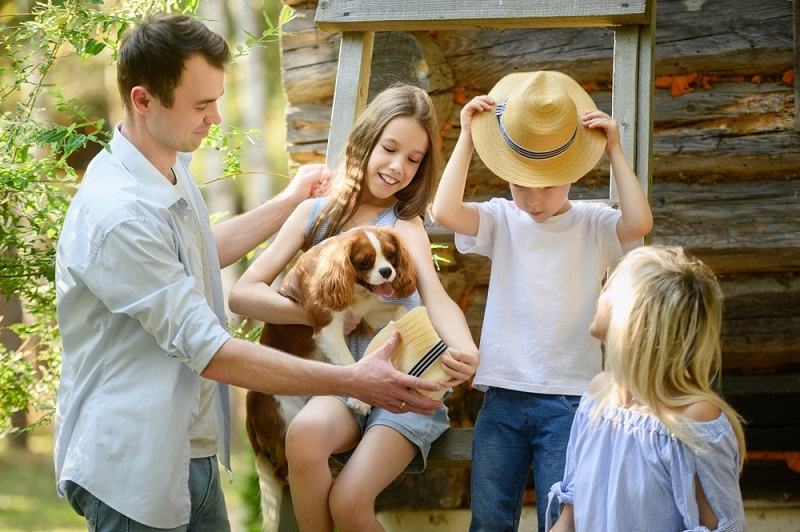 Cazari potrivite pentru familii cu copii, la sat