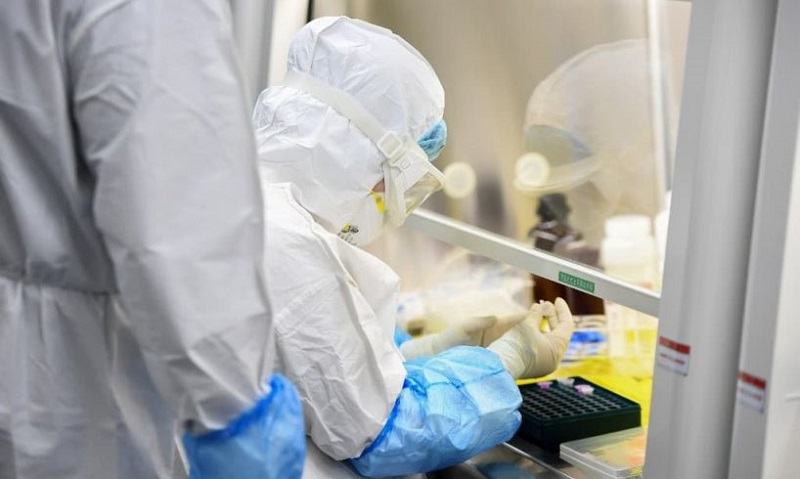 Cercetatorii chinezi au identificat doua tipuri ale noului coronavirus