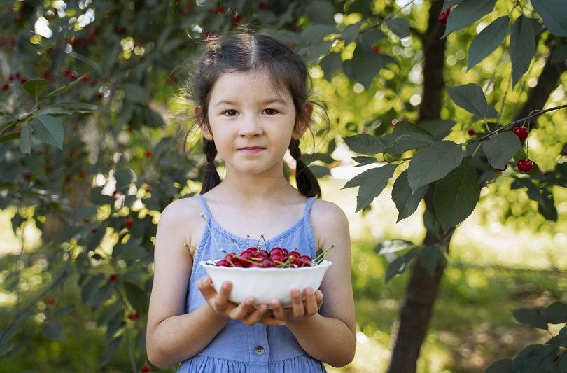 Ciresele in alimentatia copiilor,ce riscuri ascunde un fruct aparent inofensiv?