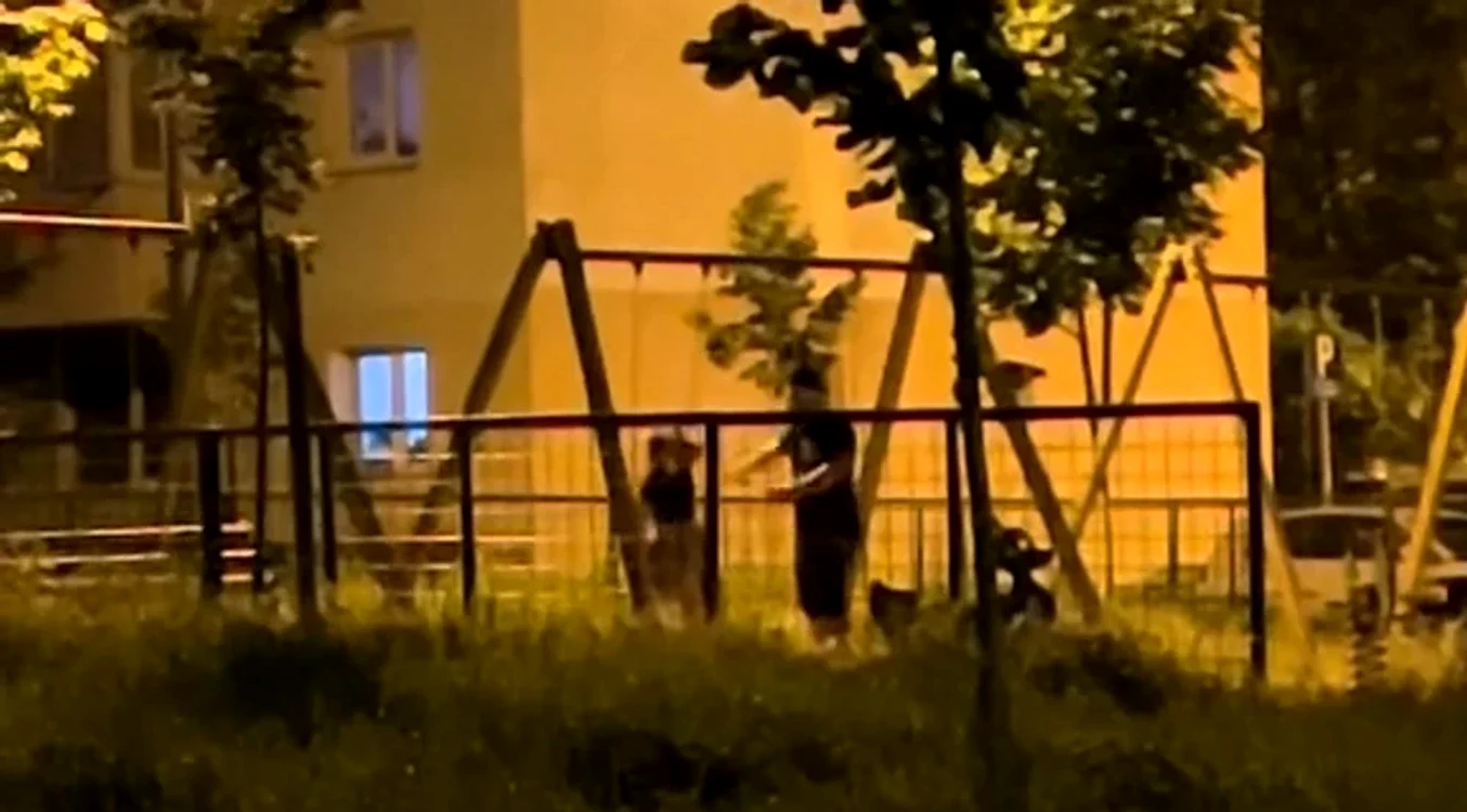 Ce s-a intamplat cu barbatul care si-a agresat sotia intr-un parc din Brasov chiar in fata copilului