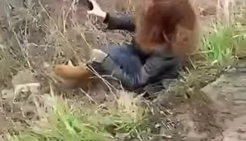 O profesoara de romana din Iasi a sarit dintr-un Uber in mers dupa ce soferul nu a mai lasat-o sa coboare din masina. De la ce a pornit conflictul