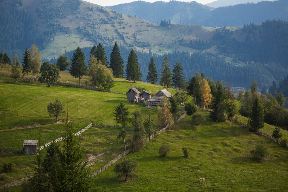 O familie cu 4 copii s-a mutat din Bucuresti in varful unui deal din Maramures