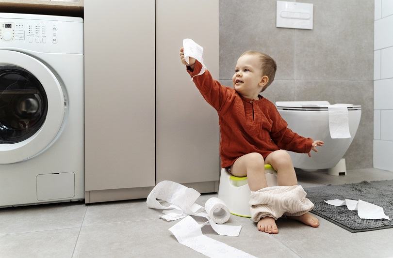Olita sau adaptor WC? Sfaturi utile pentru parintii care vor sa scape de scutece