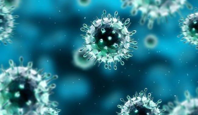 Avertisment de la OMS: Chestiune de timp pana la o pandemie de gripa