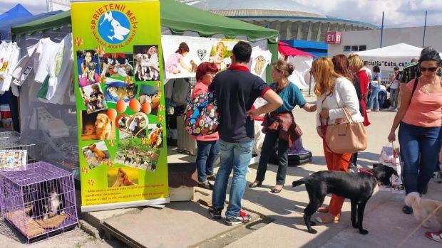 Sase asociatii vor lansa campania Adopta un caine la Pet Expo