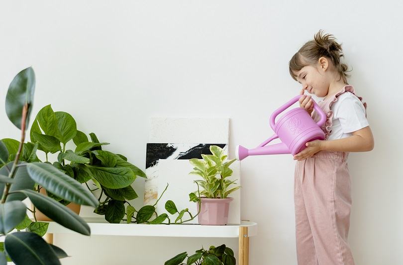 Plante de interior pentru un aer mai curat: ce alegi si la ce trebuie sa fii atent daca ai copii mici