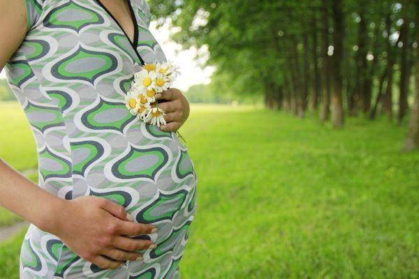 Plante sigure in timpul sarcinii