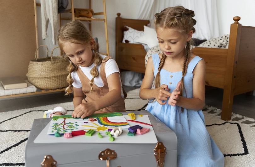 Plastilina pentru copii: cadou educativ creativ care tine copilul ocupat mult timp