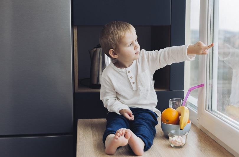 Cum sa previi accidentele copiilor? Top sisteme child proof pentru ferestre termopan