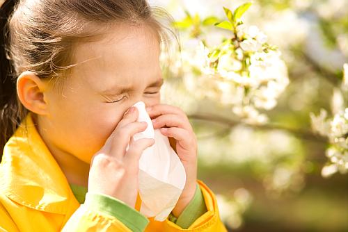 Raceala, alergie sau sinuzita: afla diferentele!