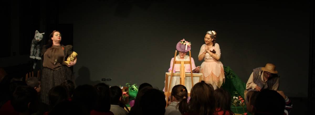 Program Stagiunea de vara