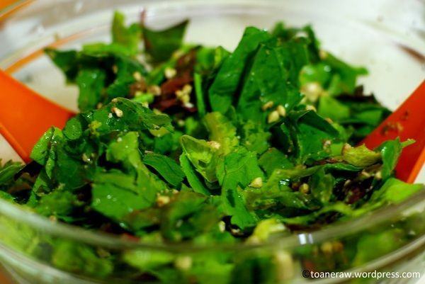 Salata verde de primavara