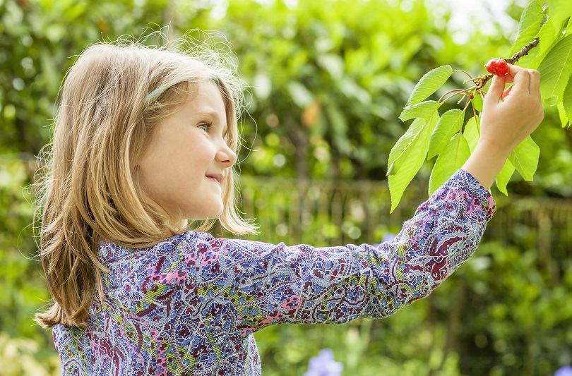 Visine: modalitati de consum si beneficii pentru copii