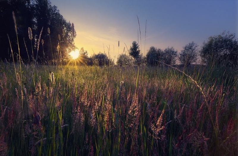 Solstitiul de vara 2026: cand este si de ce avem cea mai lunga zi din an in Romania