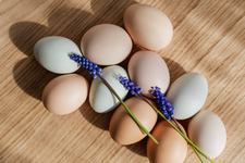 Mituri si adevaruri despre oua. Ce trebuie sa stii