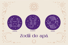 Zodiile de apa:...