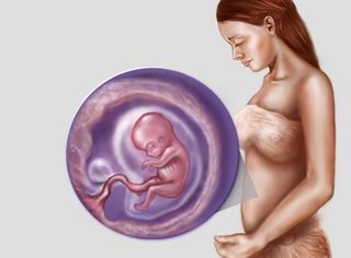 Batai neregulate ale inimii fatului