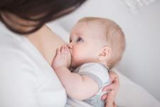 Fenicul si anason, remedii naturale pentru lactatie insuficienta