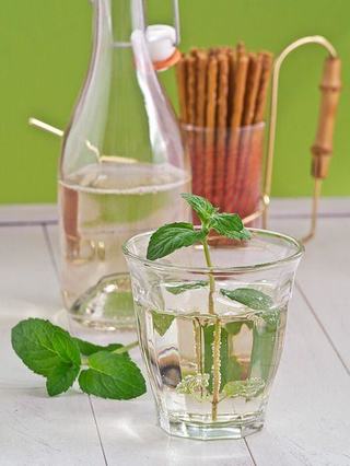 Sirop de menta