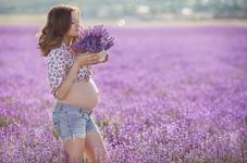 Lavanda in timpul sarcinii....
