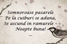 15 Iunie – O zi speciala...