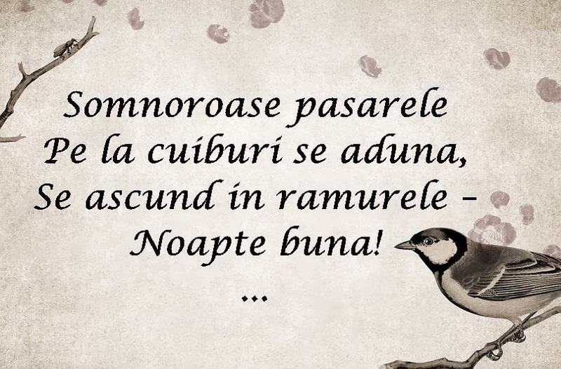 15 Iunie – O zi speciala dedicata lui Mihai Eminescu.