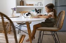 Iepurasul ca animal de...