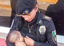 Imagini incredibile! O...