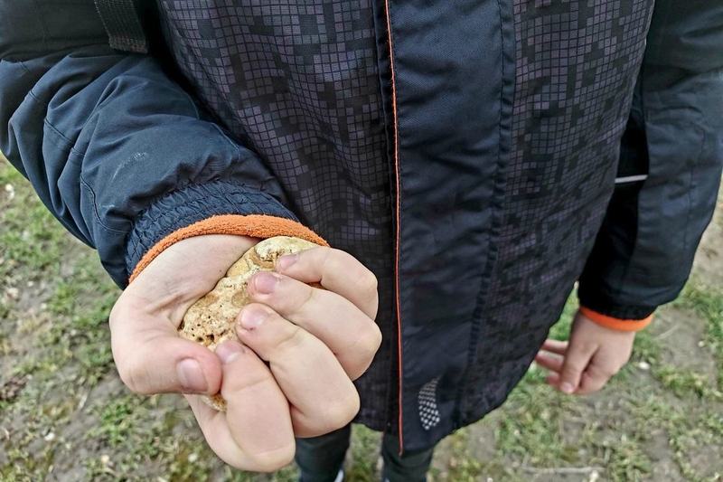 Povestea uimitoare a pietrei tinute in mana de un copil fugit din Ucraina in Romania. Iti dau lacrimile!