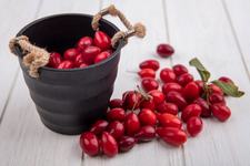 Beneficiile berberinei in...