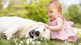 Psiholog Mihaela Zaharia: „Copiii care au animale de companie invata sa respecte regulile, sunt empatici"