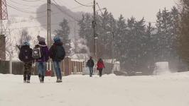 Scoli inchise in patru...