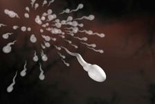 Spermicidele si actiunea lor