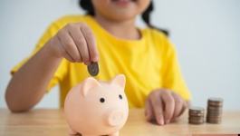 Alocatiile pentru copii ar...