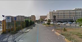 Boala disparuta de peste un...