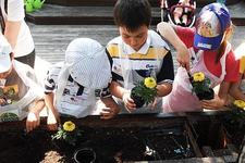 De Ziua Internationala a Igienei Mainilor (5 mai), peste 300 de copiii au plantat bunele obiceiuri de igiena cu Dettol