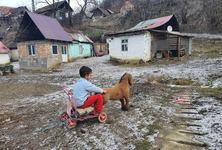 Copiii din Romania, in topul celor mai vulnerabili minori. Cum ii afecteaza razboiul din Ucraina
