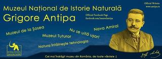 Scoala de weekend si nu numai... Editia 2013