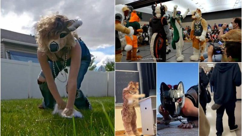 Tot mai multi elevi se identifica drept animale si vin imbracati ca vulpi si papagali la liceele din Romania: „Urca scarile in patru labe”