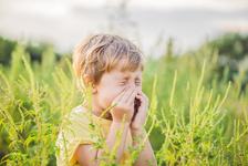 Alergia la ambrozie: simptome, tratament si recomandari!